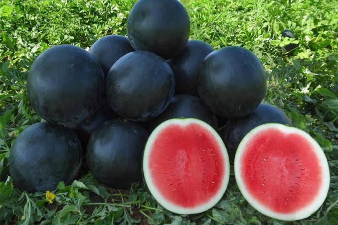 Watermelon
